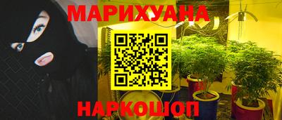 МДПВ Будённовск