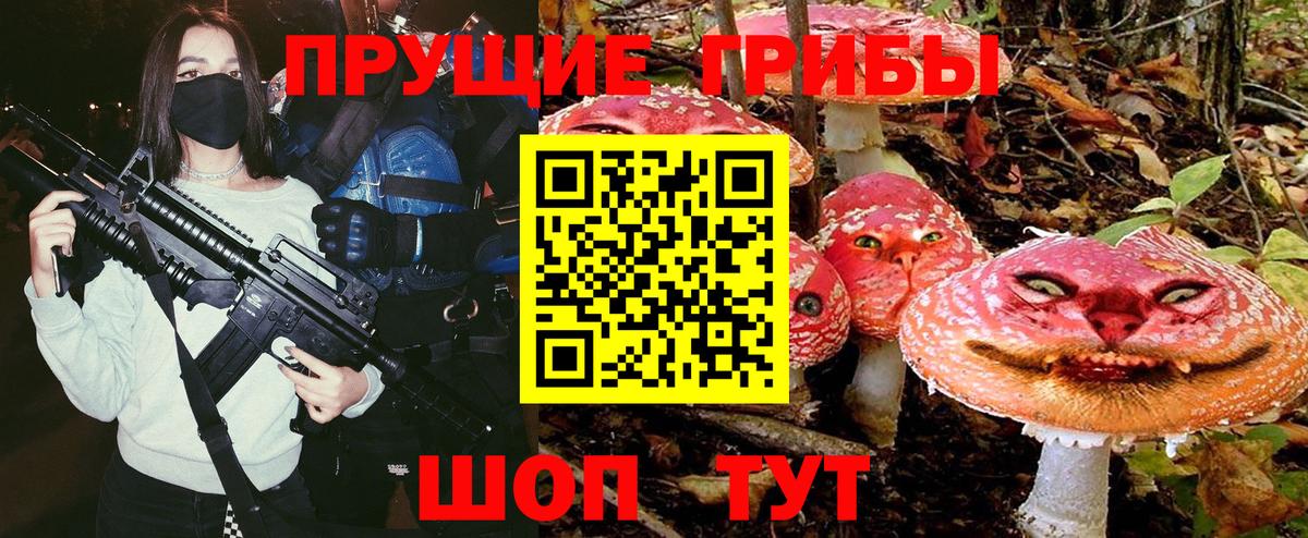 Псилоцибиновые грибы мицелий Салават